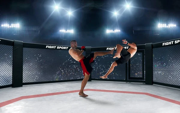 The Ultimate Fighting Championship (UFC): A Journey from the Octagon's Shadows to Global Supremacy